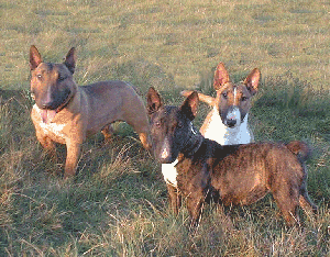 Hier bin ich mit meinen beiden Töchtern: Eva und Conny